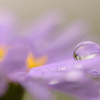 雨の贈り物