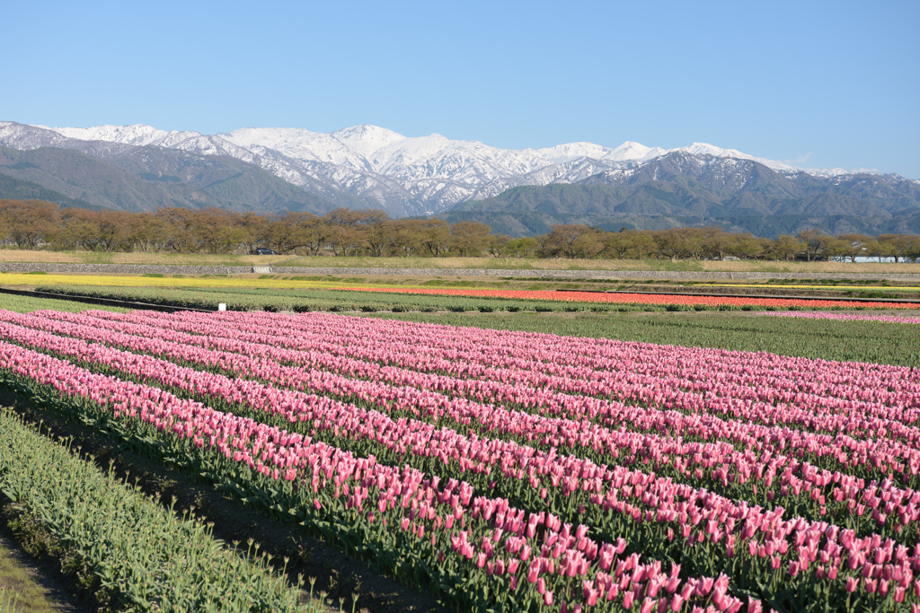 あれから一週間