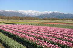 あれから一週間