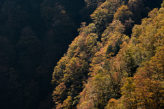 有峰紅葉5