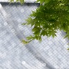 甍輝く1