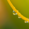 水玉５