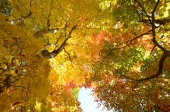 飛騨の里紅葉16