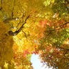 飛騨の里紅葉16