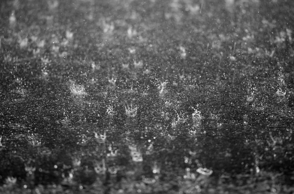 雨