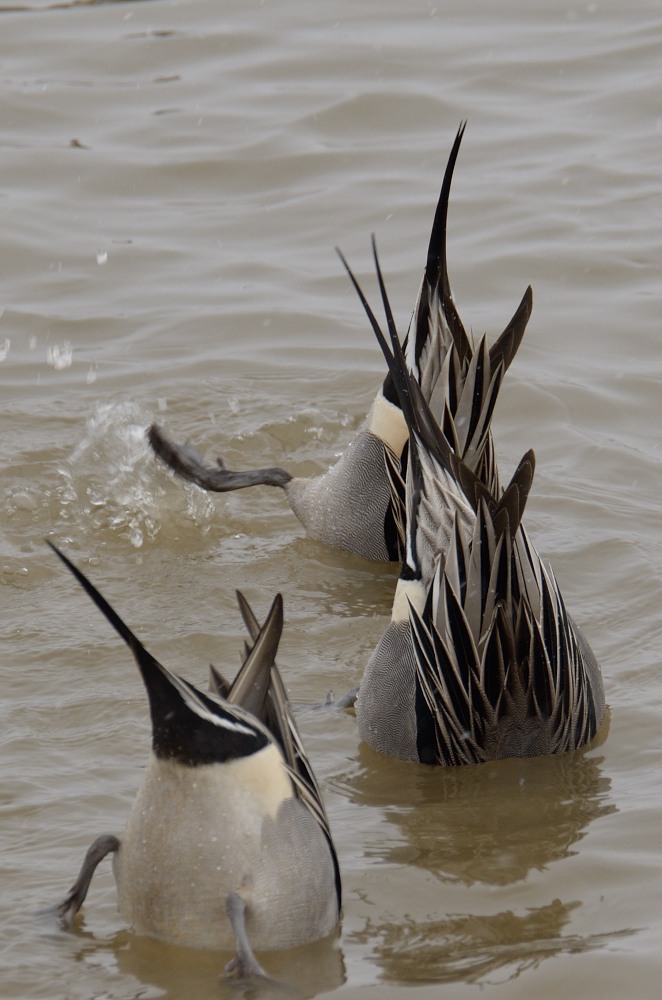 synchronize