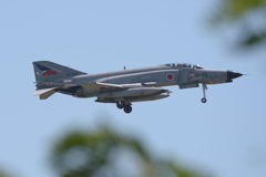 枝越しファントム