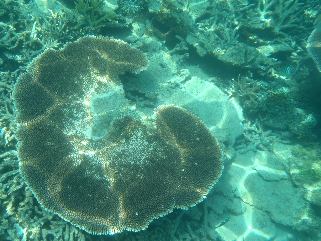 水底のテーブル