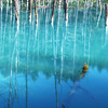 青い池（北海道）