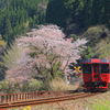 桜　散る　駆け込み乗車^^