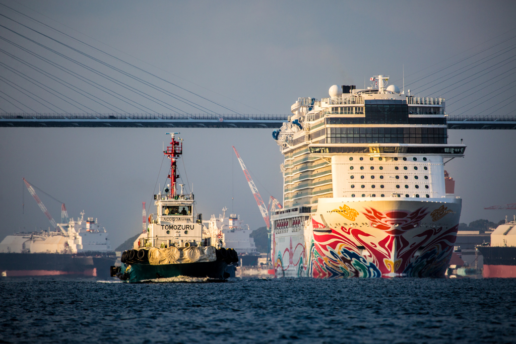 Norwegian Joy