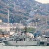 山桜と自衛艦