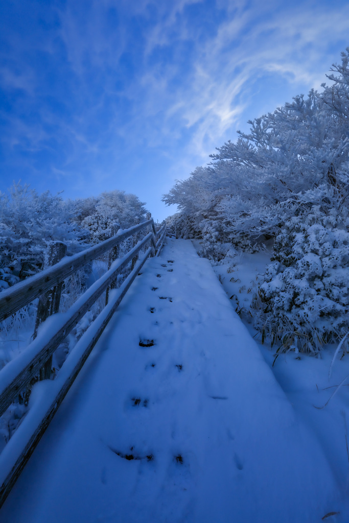 見上げれば−10℃