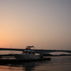夕日
