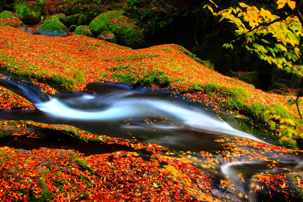 紅葉の羽衣