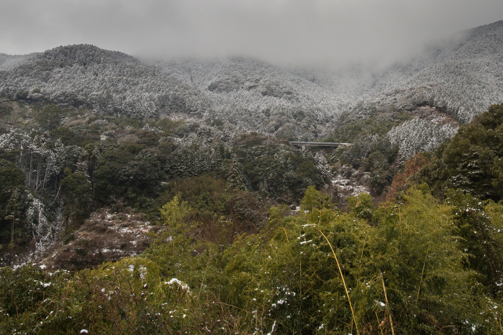 山