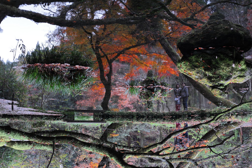 紅葉鏡
