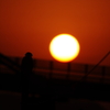 夕日にたたずむ