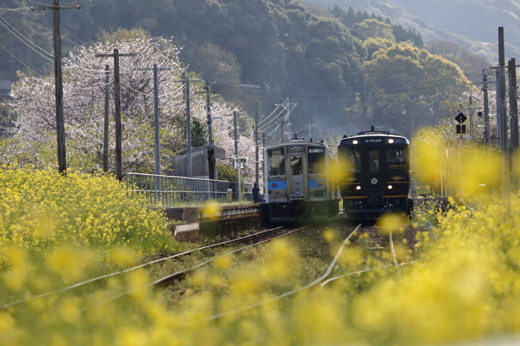 ガタンゴトン　春はA列車で