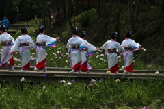 花しょうぶ祭り-17