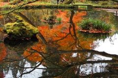 紅葉の映し鏡