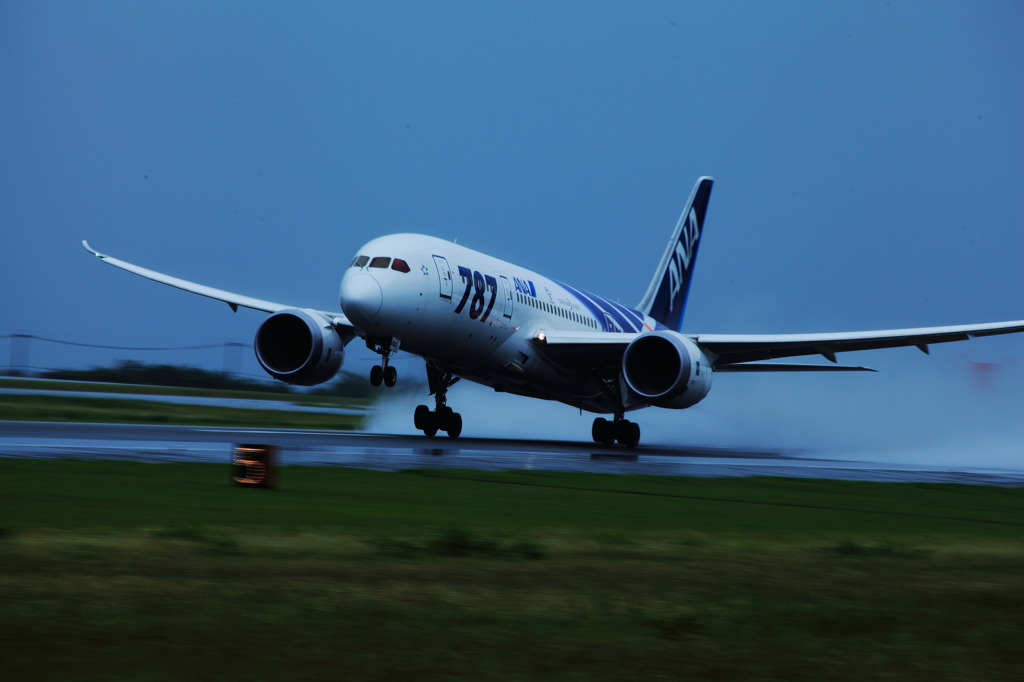 ＡＮＡ 787