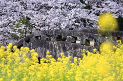 花たちの埋もれる