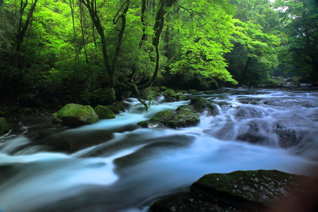 広河原上流