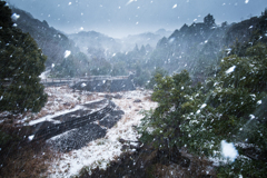 猛吹雪
