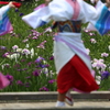 花しょうぶ祭り-12
