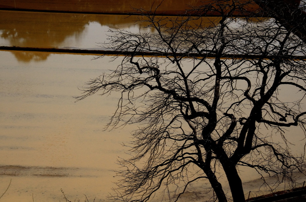 誰か灰をください