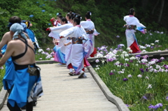 花しょうぶ祭り-15