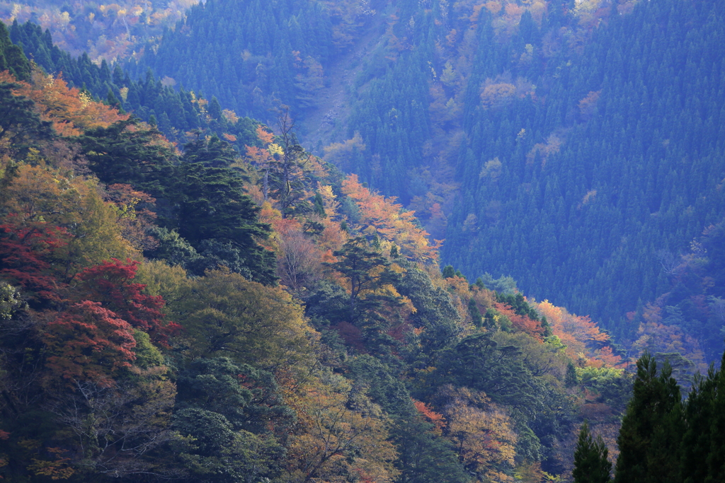 緑仙峡-2