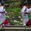 花しょうぶ祭り-14
