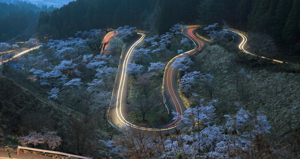 千本桜の光跡