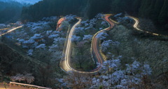 千本桜の光跡