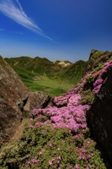 くじゅう連山を望む