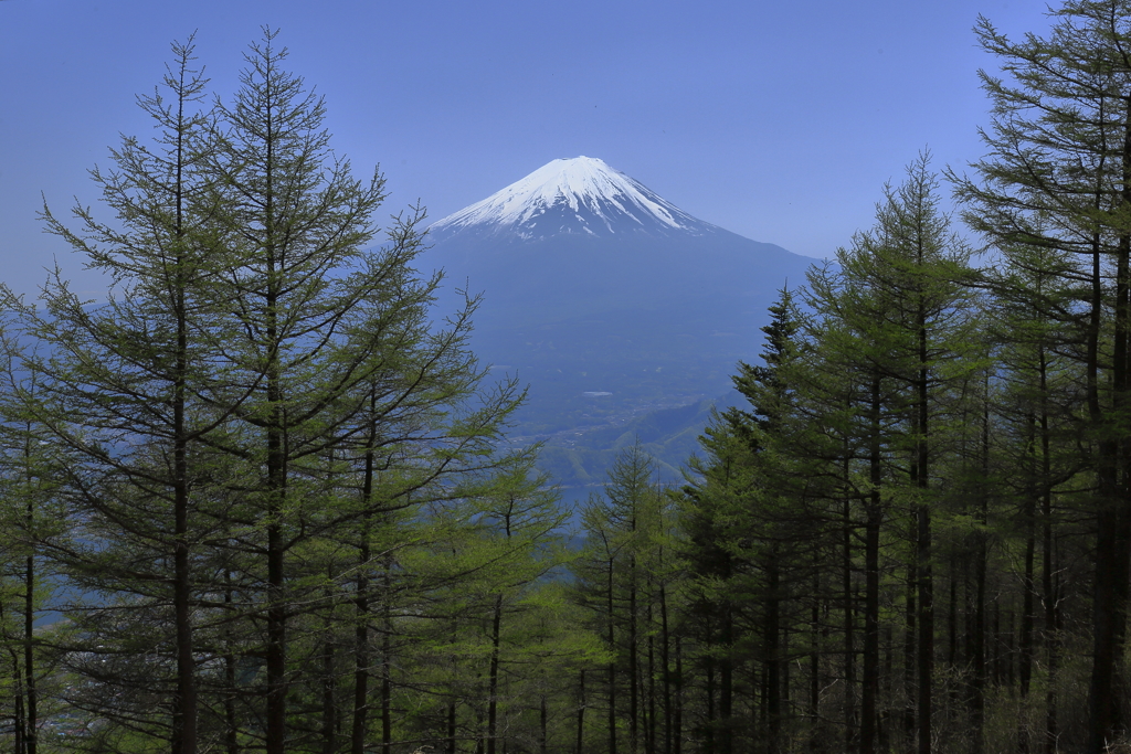 富士旅-1