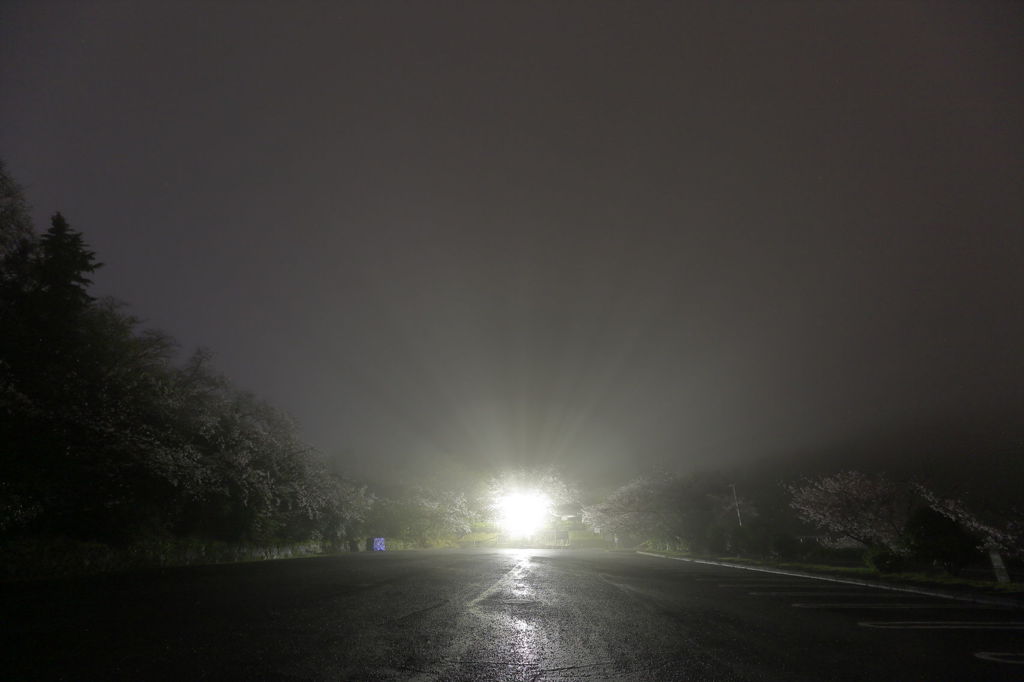 雨が(＠_＠;)