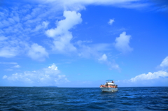 イルカウォッチング　青い海と空