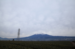 また、虫が騒ぎだしました(>_<)