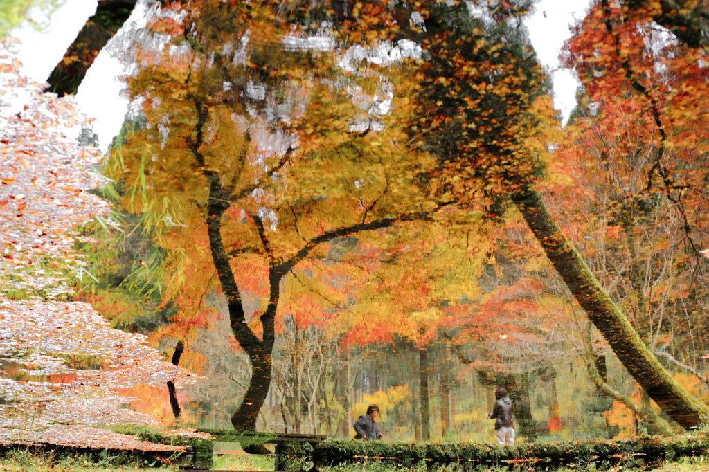 紅葉鏡-2