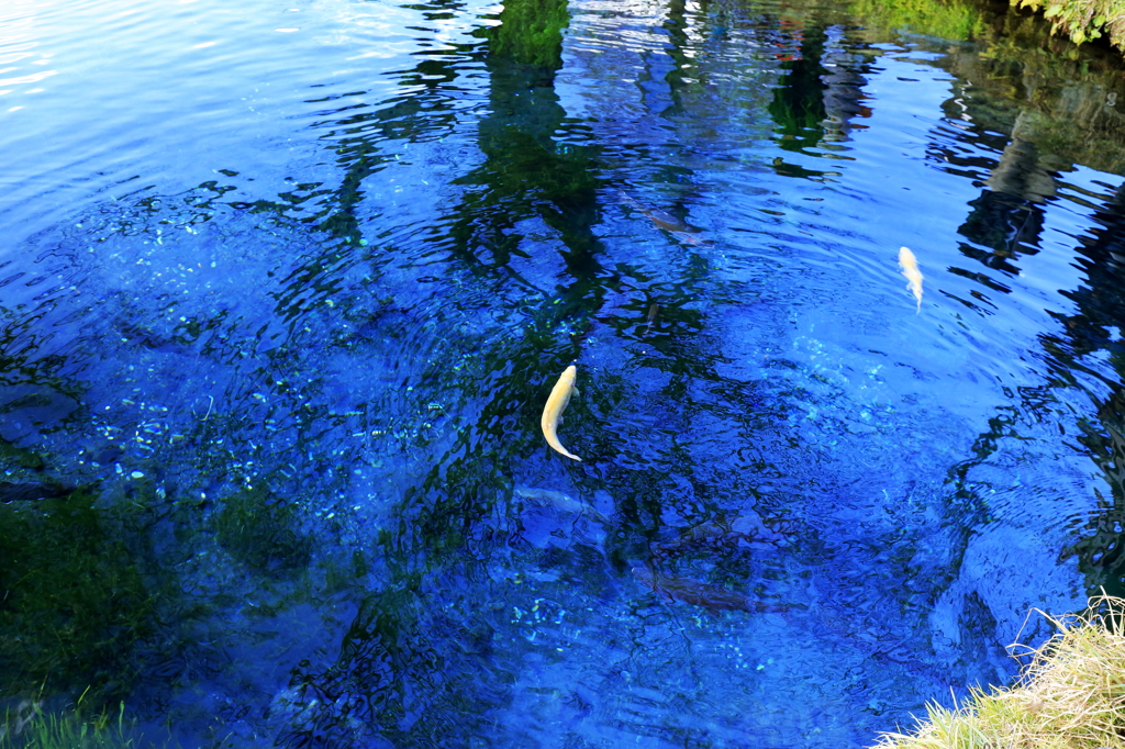 湧池