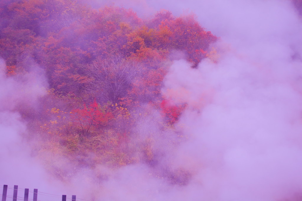 湯煙紅葉