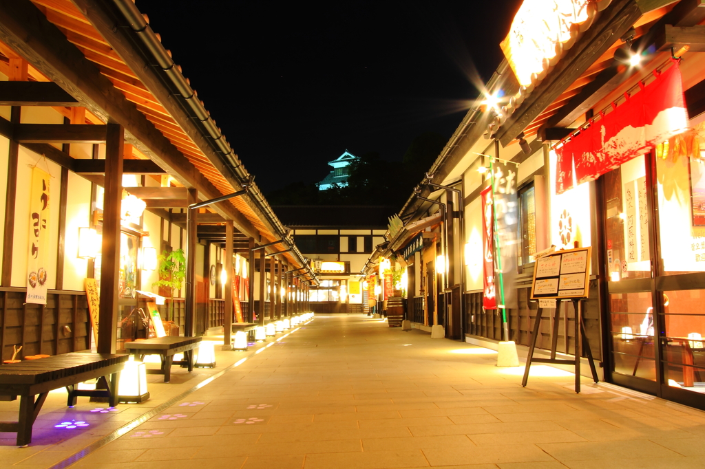 桜の小路