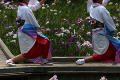 花しょうぶ祭り-20