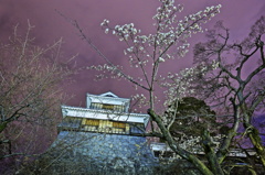 未申櫓と早桜