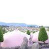 コビット村到着