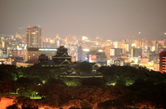 熊本城の夜