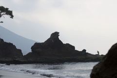 ゴジラの休息
